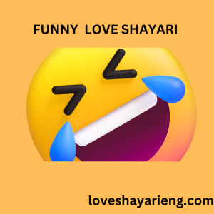 funny love shayari 