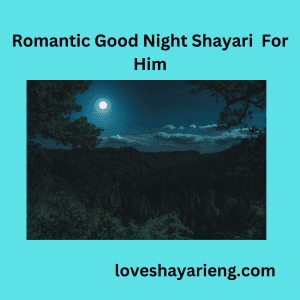 Romantic Good Night Shayari For Him