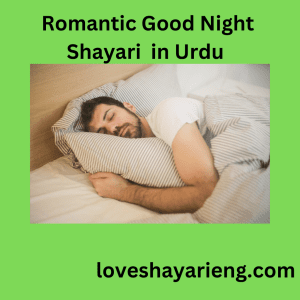 Romantic Good Night Shayari  in Urdu 